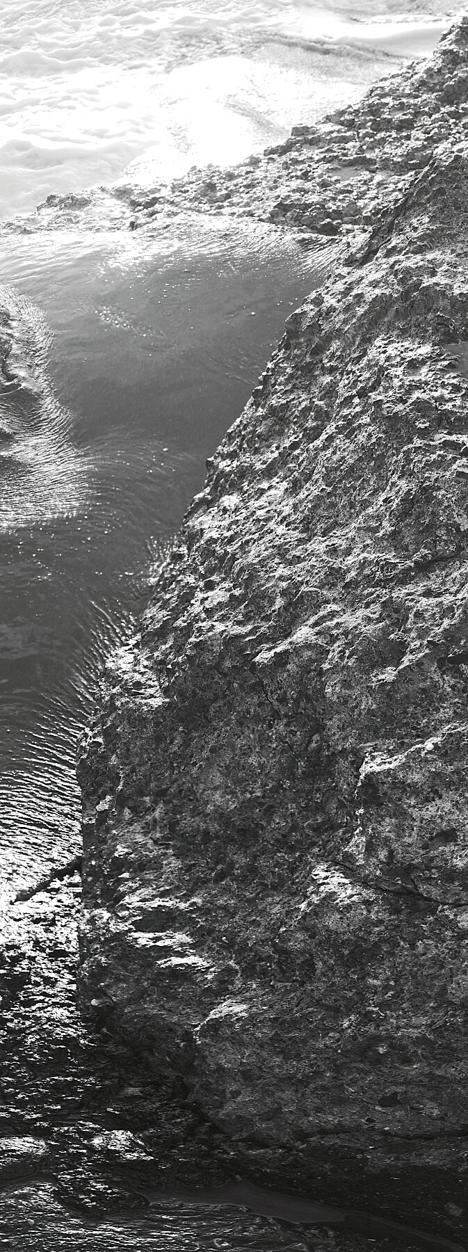 Liebe Verschmutzung - Vergiss mich nicht 3 - Print BW 1 Feuerzeug - Fudji Matt - Limitierte Auflage (1-3)