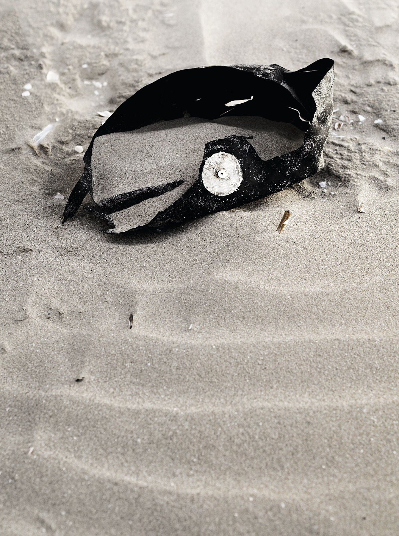 Liebe Umweltverschmutzung – Tiere schauen zu