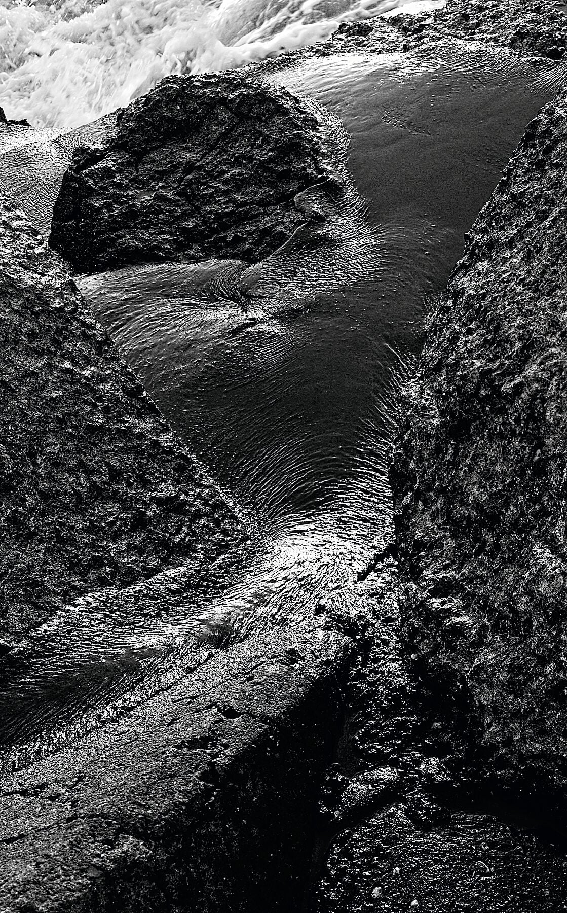 Liebe Umweltverschmutzung – Vergiss mich nicht – Schwarz-Weiß-Dunkel – Print Fudji Flex – Limitierte Auflage (1–4)