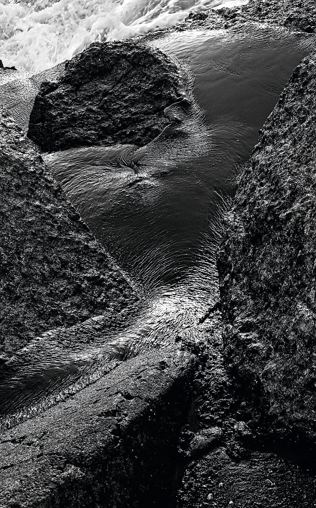 Liebe Umweltverschmutzung – Vergiss mich nicht – Schwarz-Weiß-Dunkel – Print Fudji Flex – Limitierte Auflage (1–4)