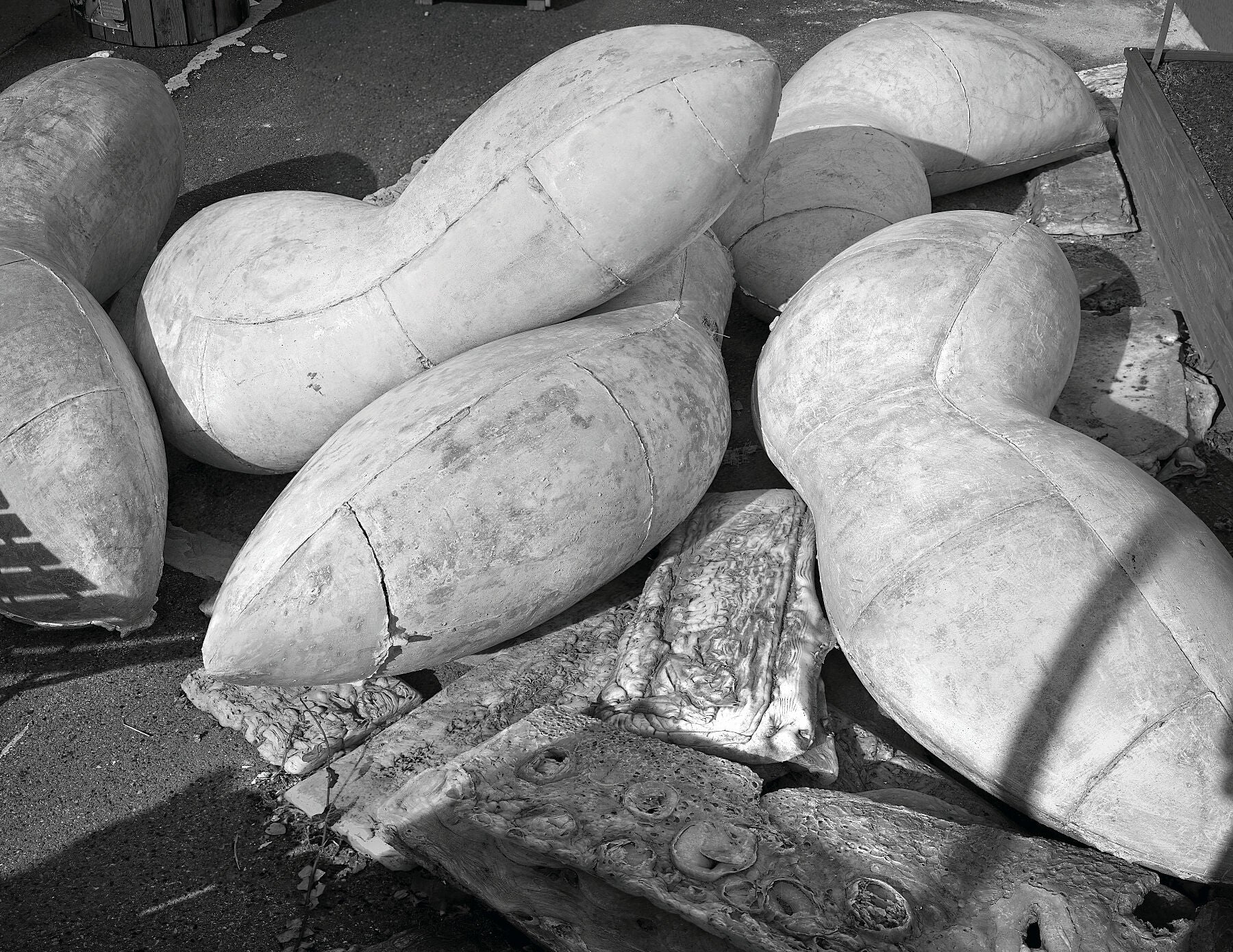 David Turecek - Bez Nazvu - 2020 - Beton - Prague - 2- TS black and white - C-type Fudji Matt