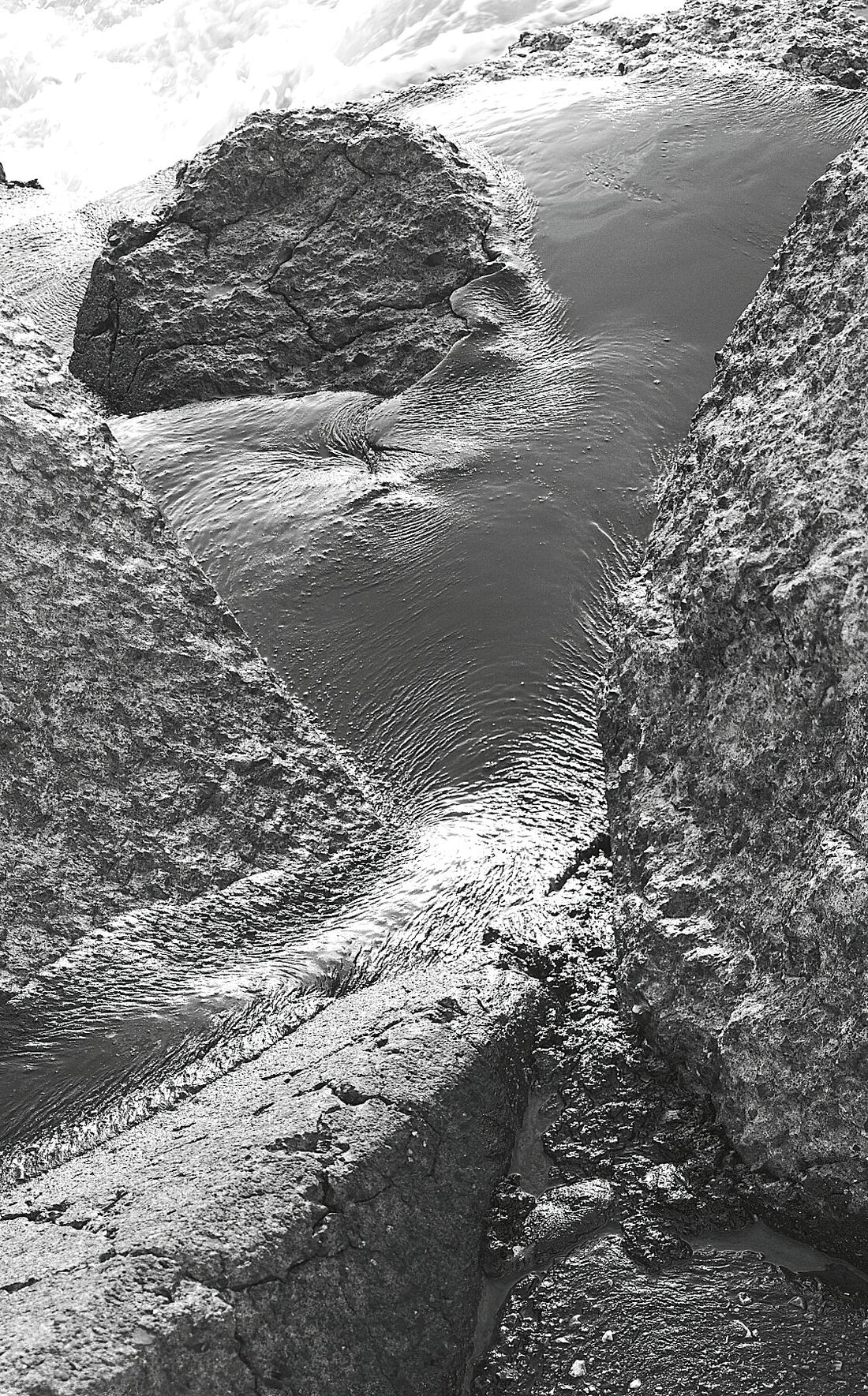 Liebe Umweltverschmutzung – Vergiss mich nicht – Schwarz-Weiß-Feuerzeug – Fudji Matt