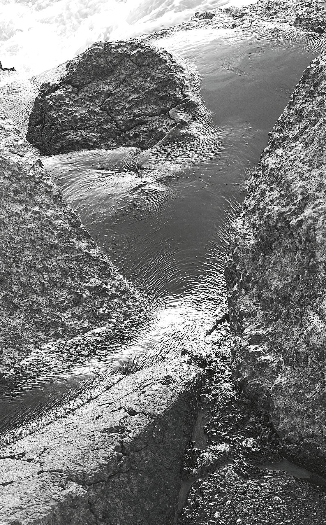 Liebe Umweltverschmutzung – Vergiss mich nicht – Schwarz-Weiß-Feuerzeug – Fudji Matt