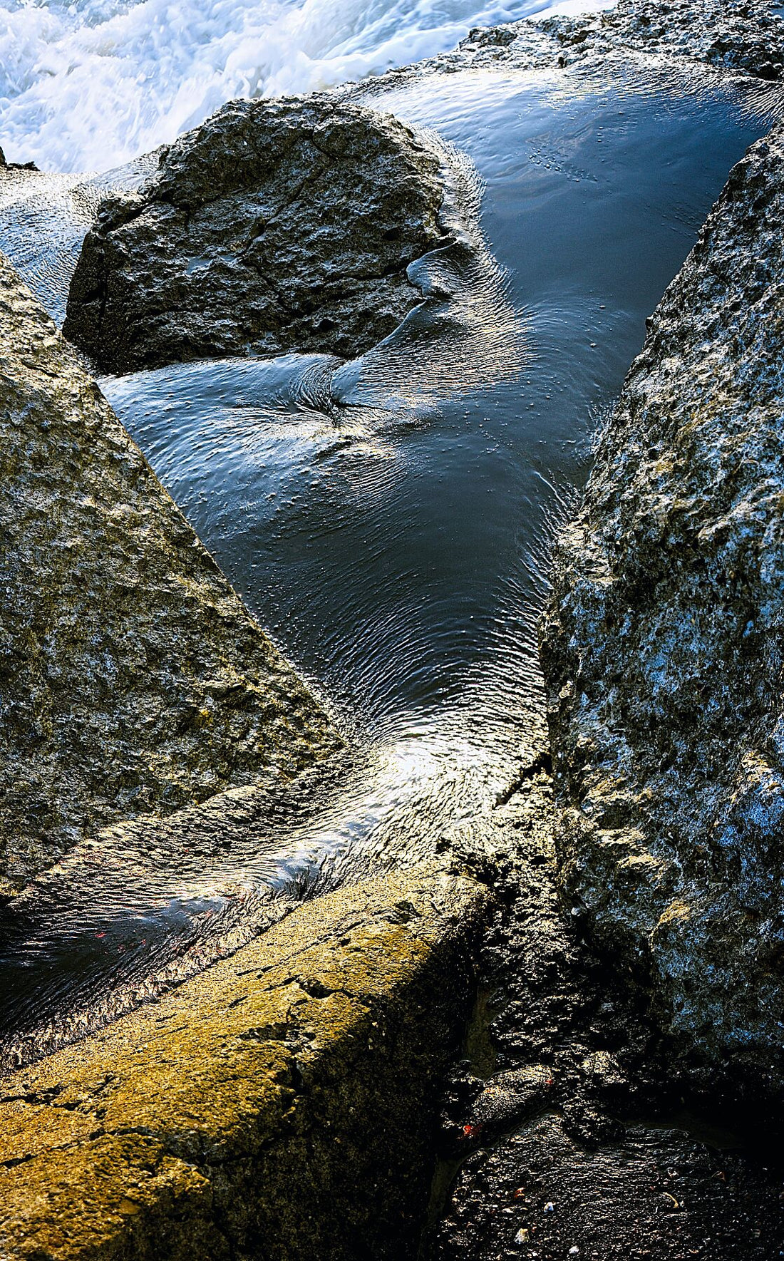 Liebe Umweltverschmutzung – Vergiss mich nicht – Vollfarbe – Druck Fudji Flex – Limitierte Auflage (1–4)