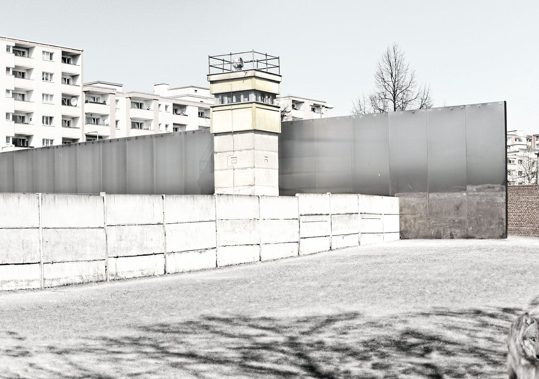 Resurgence – Berlin Wall Memorial Grounds – Project OFFSIDE – Memory 3 - Kohlhoff und Kohlhoff architects  - Print matt Limited edition 1-3 - C-type Fudji Matt