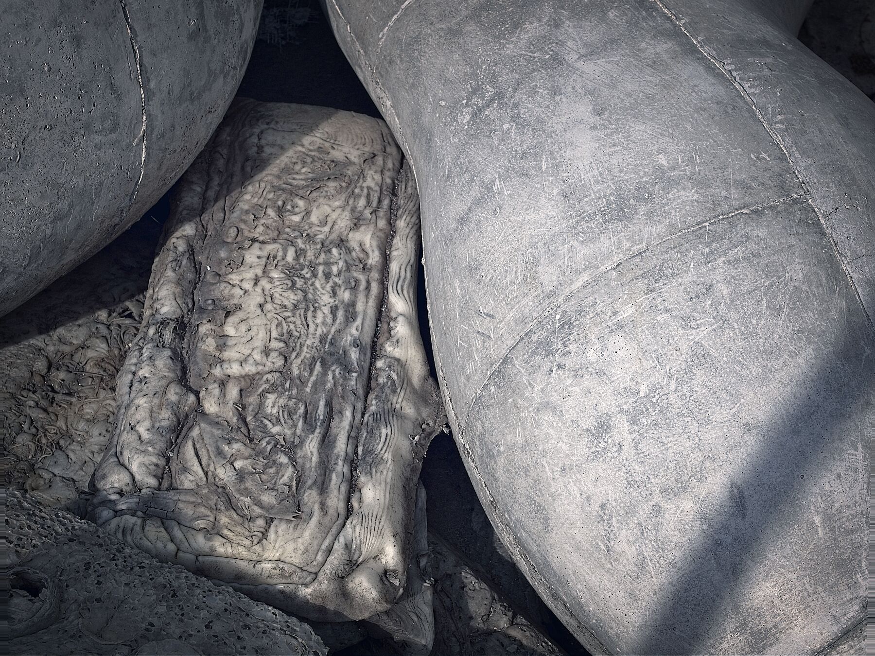 David Turecek - Bez Nazvu - 2020 - Beton - Prague - f8 - C-type Fudji Matt