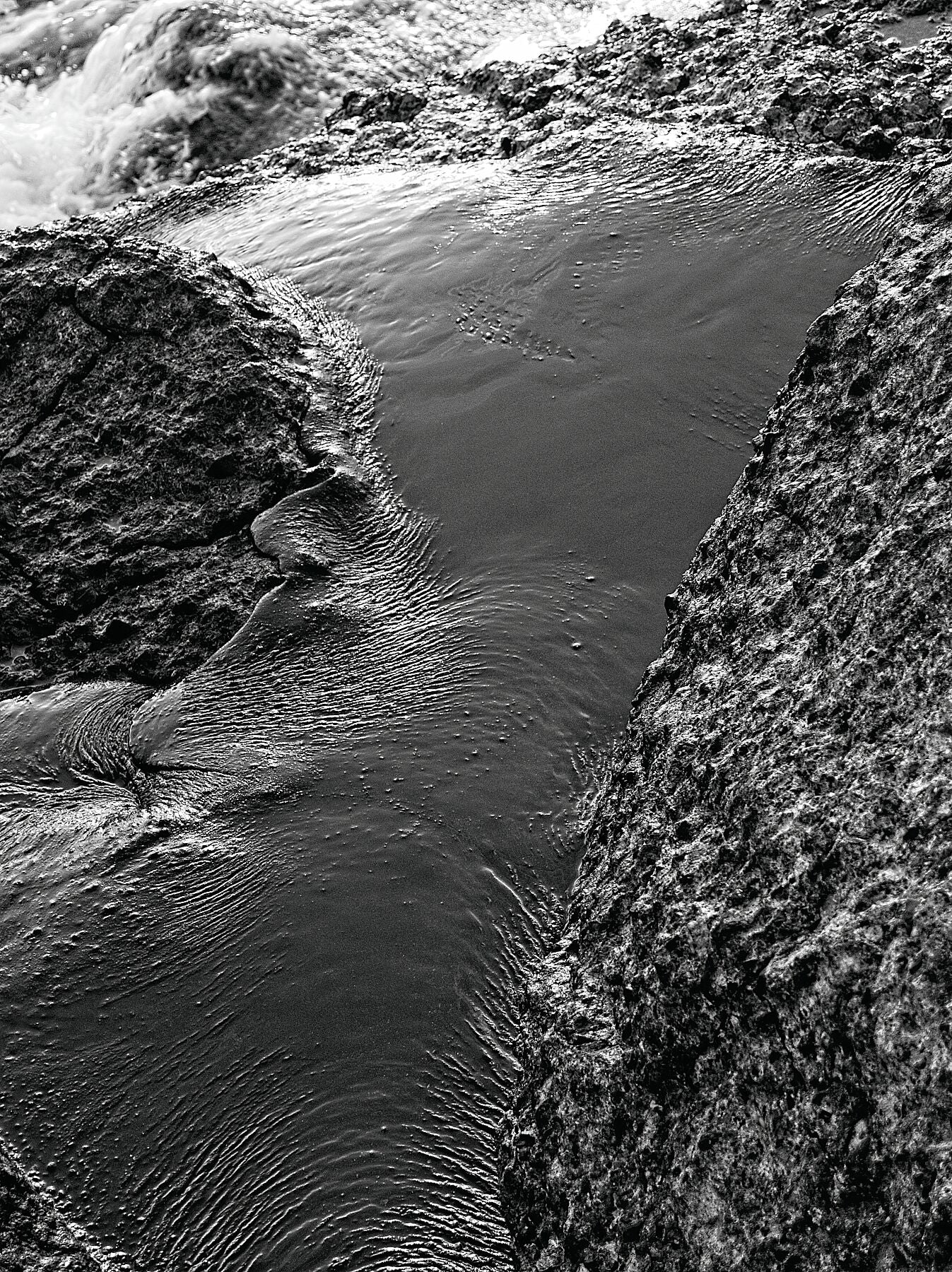 P8270519v4JPG - Black and white Darker - C-type Kodak Metallic 300