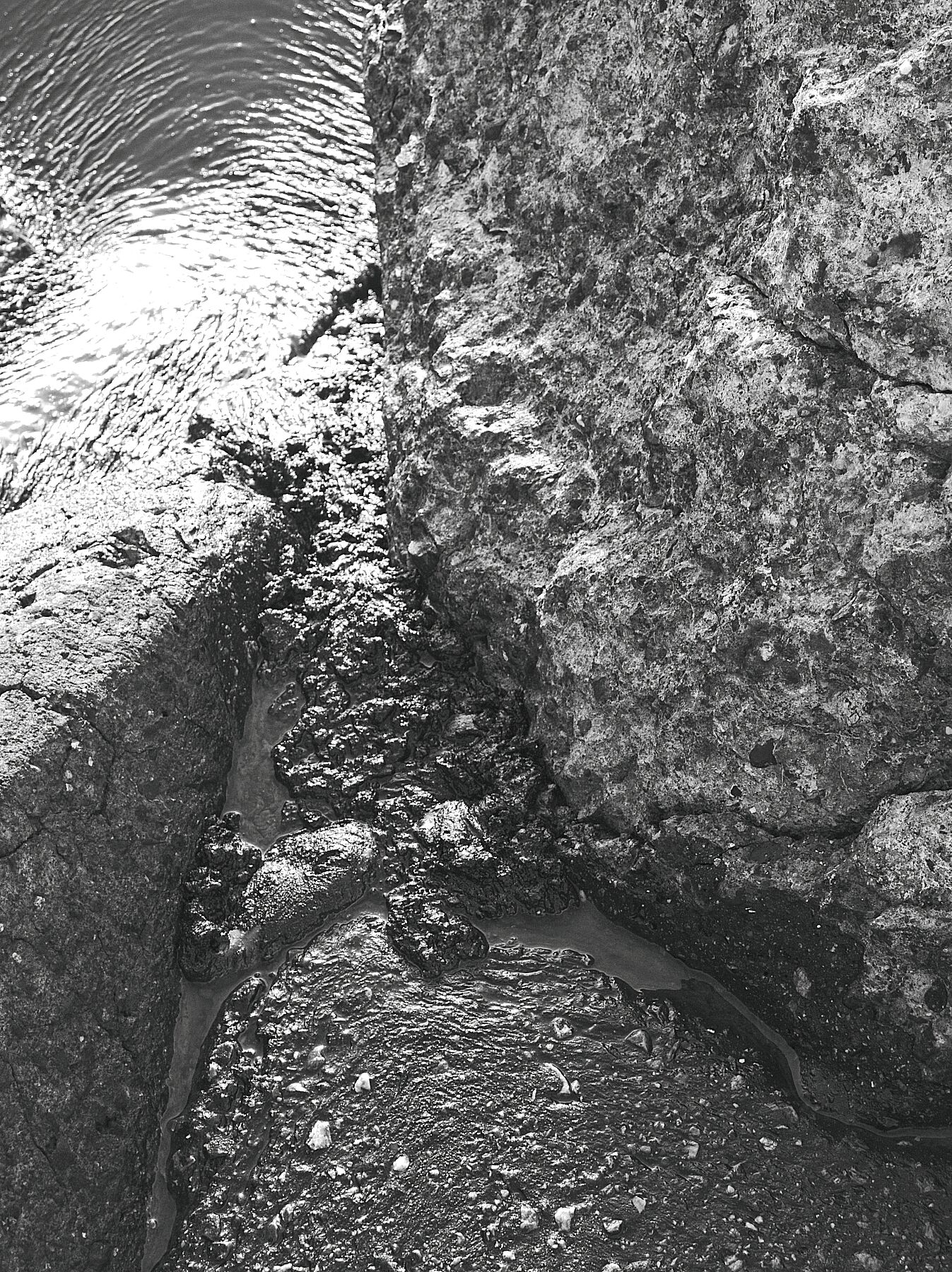 P8270529v1JPG - Black and white Lighter - C-type Kodak Metallic 300