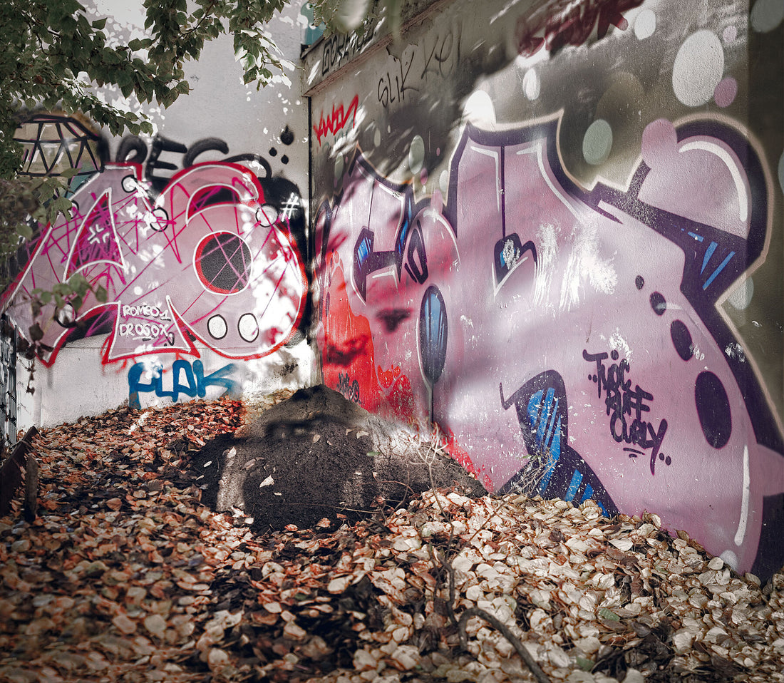 Rosa Blätter, Eckfarbe Glanz – C-Typ Fudji Glanz