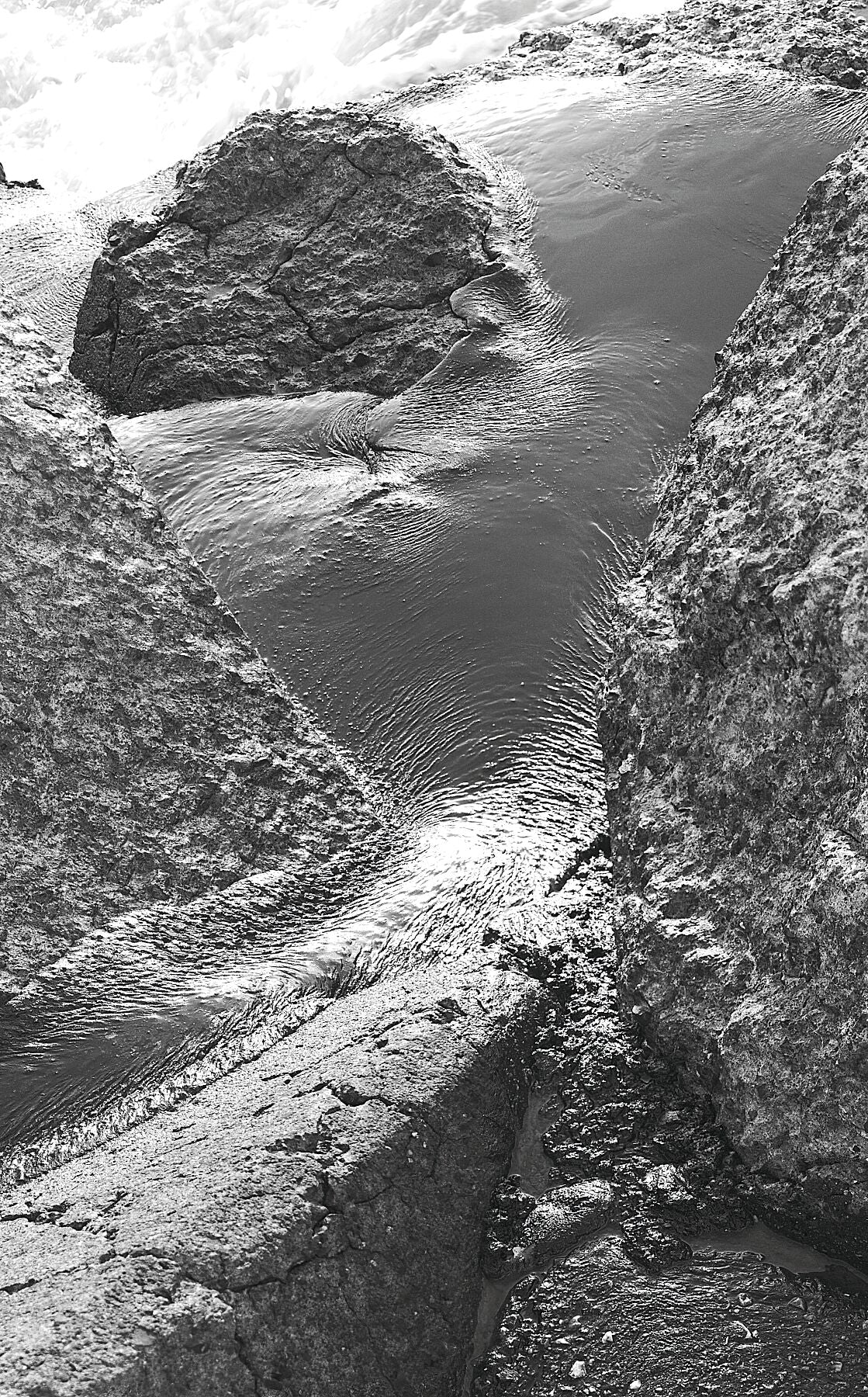 Liebe Umweltverschmutzung – Vergiss mich nicht – Schwarz-Weiß-Feuerzeug – Fudji Flex – Limitierte Auflage (1–4)