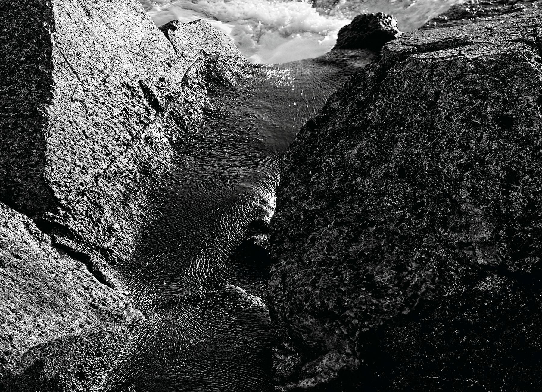 Liebe Verschmutzung – Vergiss mich nicht 2 – Print BW 2 Darker – Fudji Matt