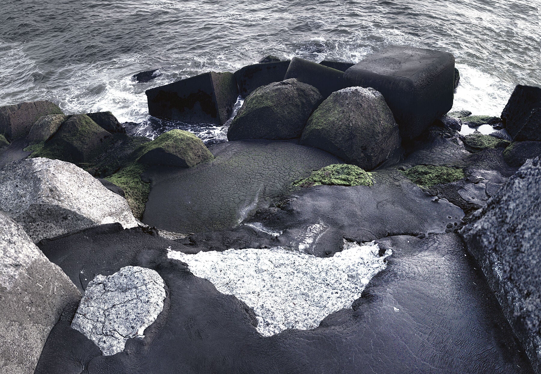 Dear pollution - Nature culture - The fantastic tryptique v3 - Limited edition (1-4)