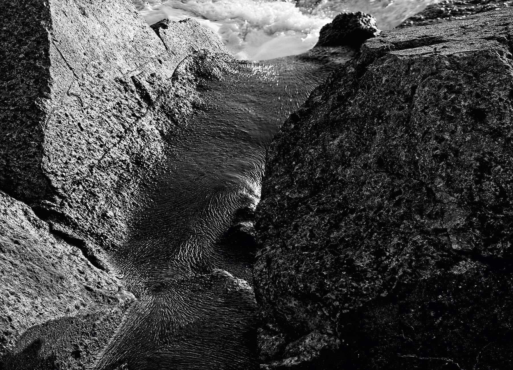 Liebe Verschmutzung – Vergiss mich nicht 2 – Print BW 2 Darker – P8270553 Panov3JPG Fudji Flex