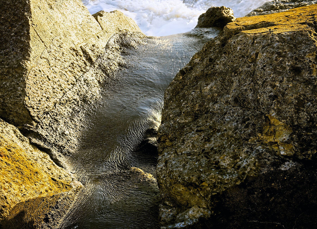 Liebe Umweltverschmutzung – Vergiss mich nicht 2 – Vollfarbe drucken – Fudji Flex