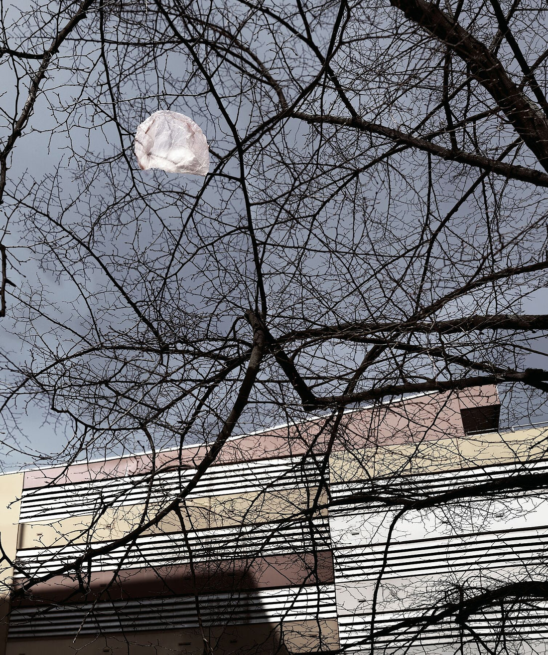 Rosa Mond - OBI Marktgebäude Berlin - Farbe - C-Typ Fudi Matt