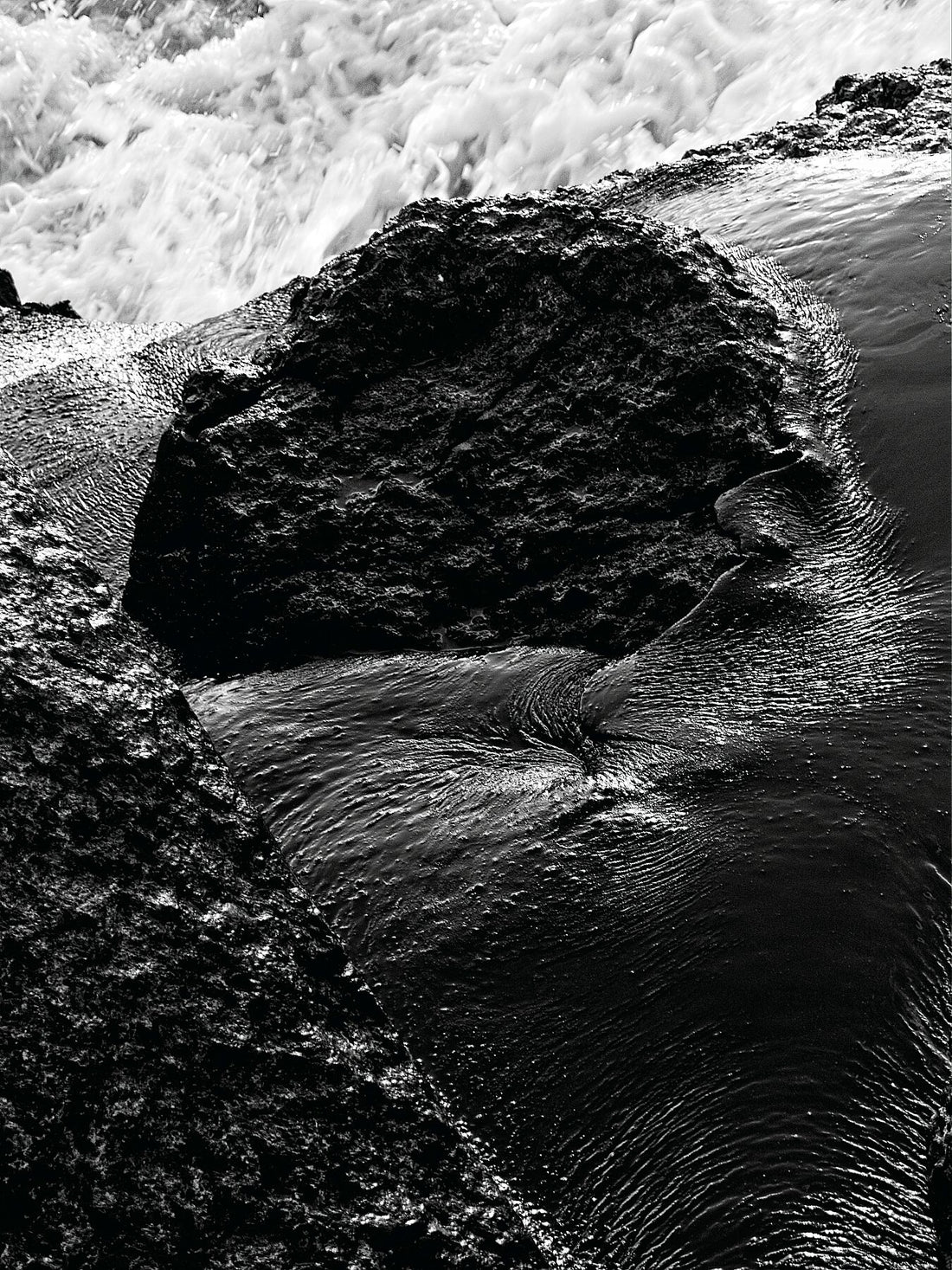 Liebe Verschmutzung – Vergiss mich nicht Detail 03 – s72 – Druck BW dunkel – Fudji Matt – Limitierte Auflage (1-3)