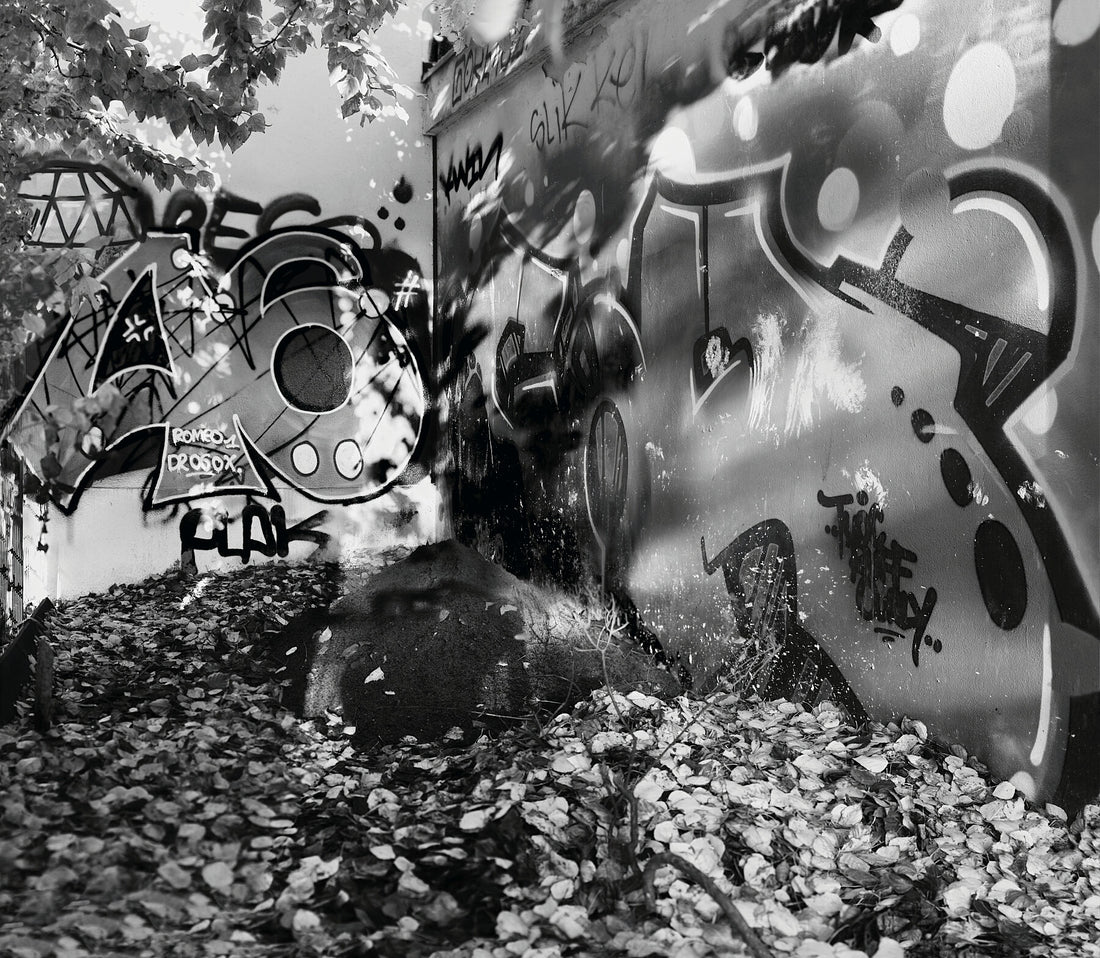 Rosa Blätter Ecke BW - C-Typ Fudji Matt