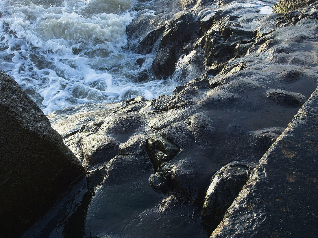 Wer hat es gemacht 2 – Kunstdruck Farbe Fudji Matt – Limitierte Auflage 1–100 – C-tpe-Fudji Matt