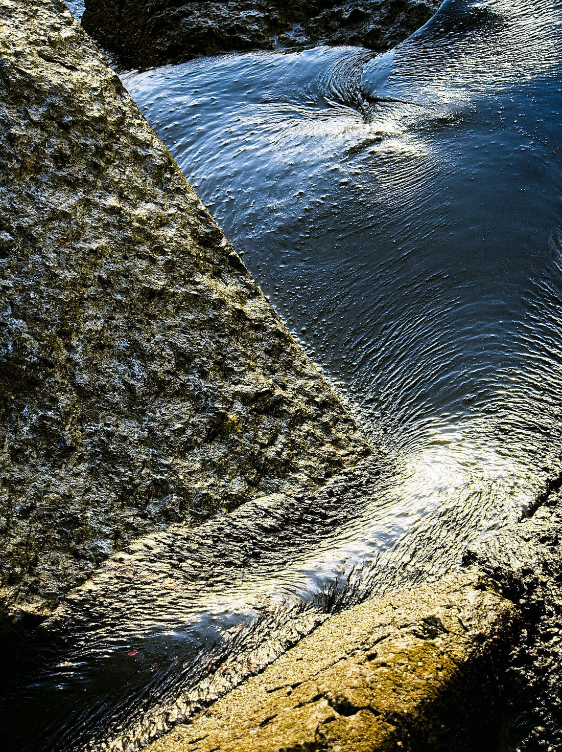 P8270525v2JPG – Helle Farbe – C-Typ Kodak Metallic 300