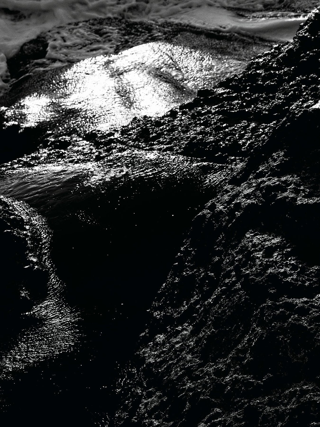 Liebe Verschmutzung – Vergiss mich nicht Detail 09 – s72 – Druck BW dunkel – Fudji Matt