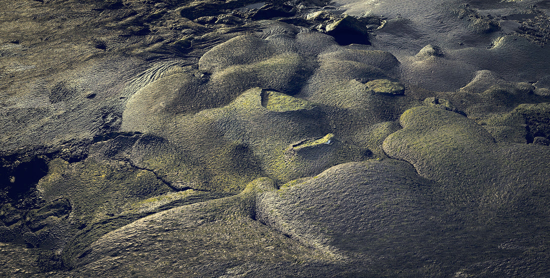 Liebe Umweltverschmutzung – Naturkultur – Angelegenheiten – v2 – limitierte Auflage (1–3)