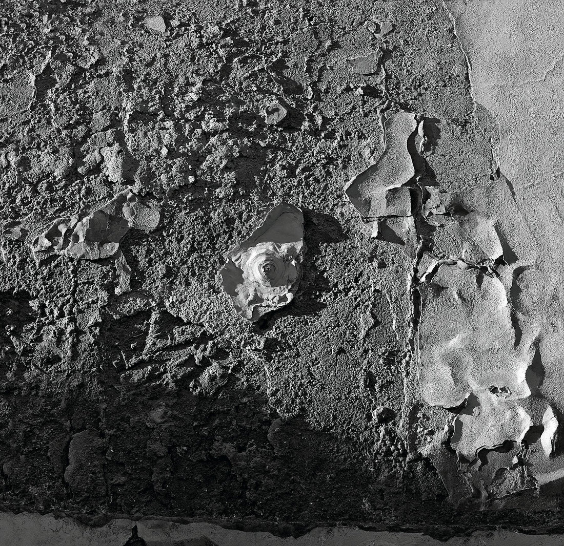 Nagel in der Prager Burgmauer - BW - C-Typ Fudji Matt - Limitierte Auflage (1-4)