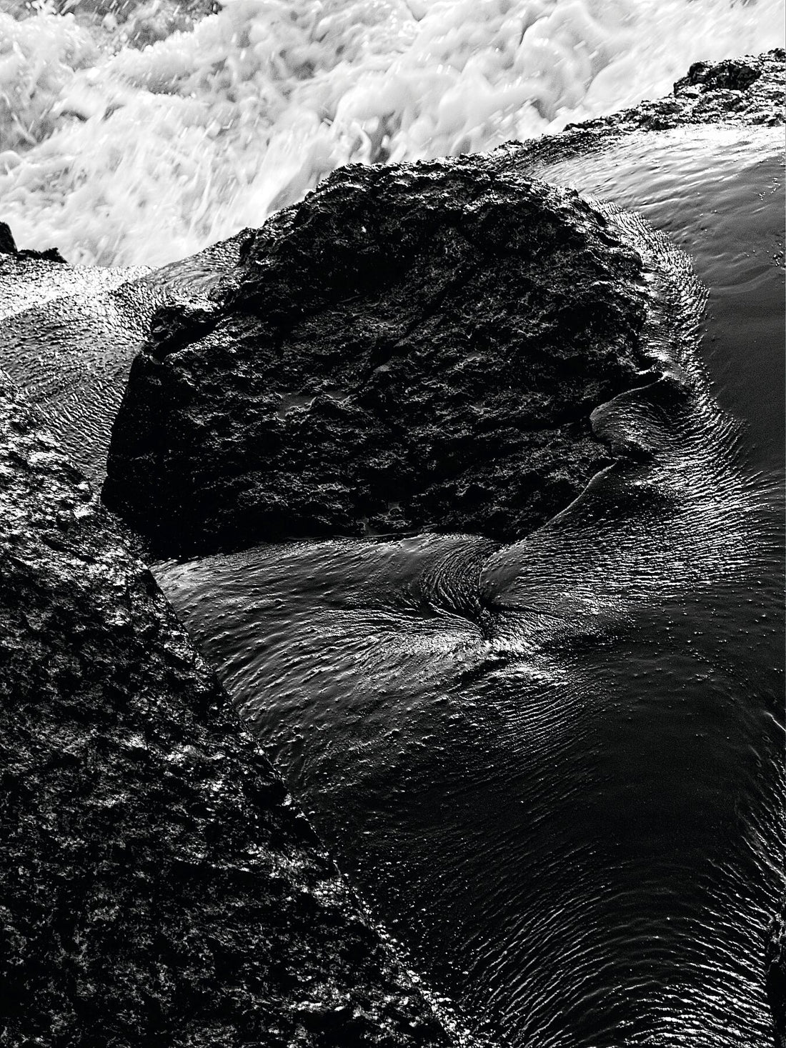 Liebe Verschmutzung - Vergiss mich nicht Detail 03- s72 - Druck BW dunkel - Fudji Flex - Limitierte Auflage (1-3)