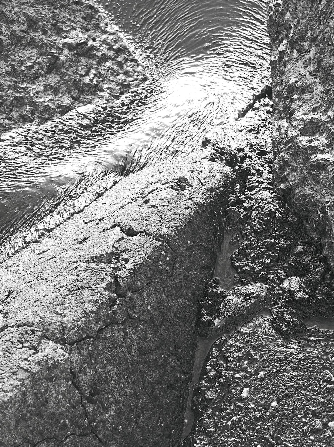 P8270534v1JPG C-Typ Kodak Metallic 300