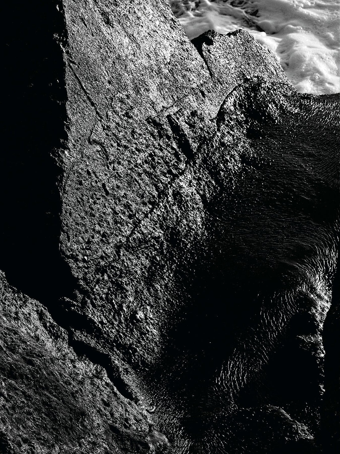 Liebe Verschmutzung - Vergiss mich nicht Detail 12 - s72 - Druck BW dunkel - Fudji Matt - Limitierte Auflage (1-3)