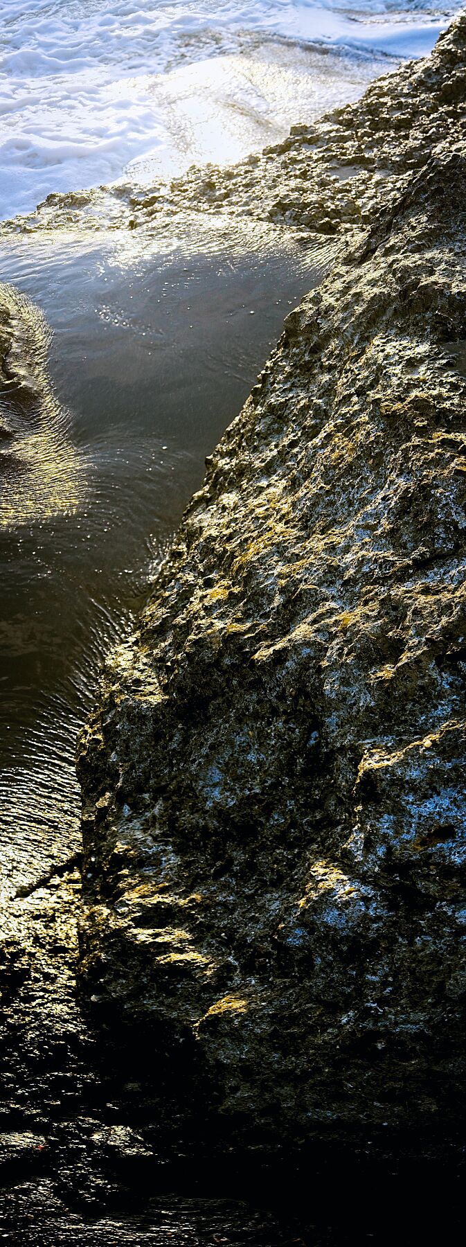 Liebe Umweltverschmutzung – Vergiss mich nicht 3 – Druck Vollfarbe – Fudji Flex Limited Edition (1-3)