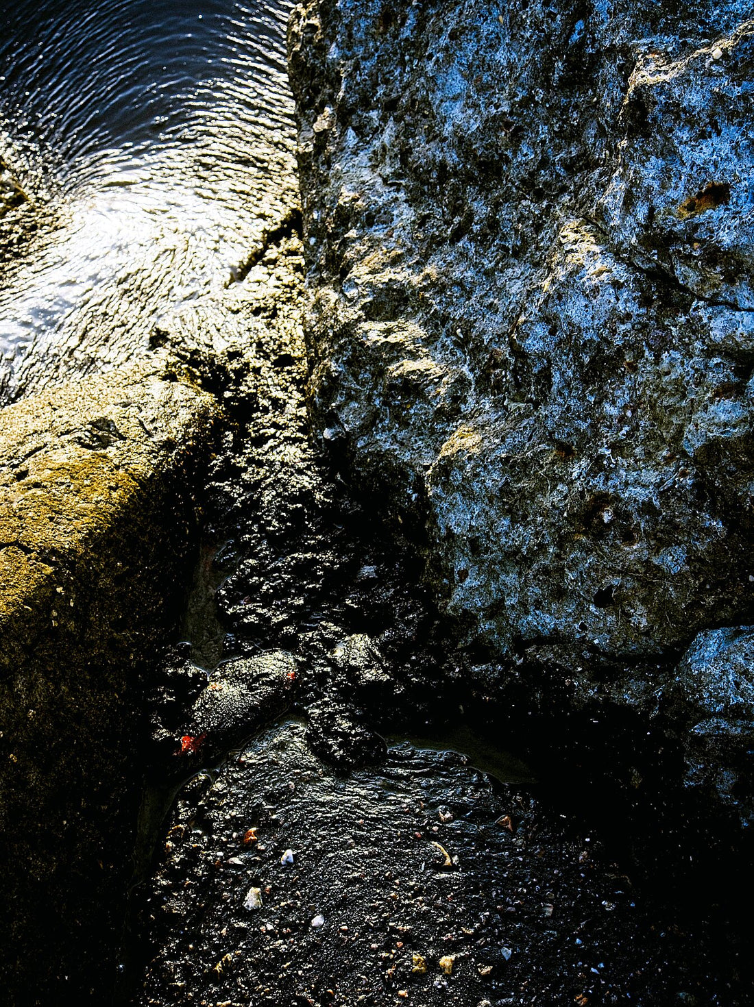 P8270529v2JPG – Helle Farbe – C-Typ Kodak Metallic 300