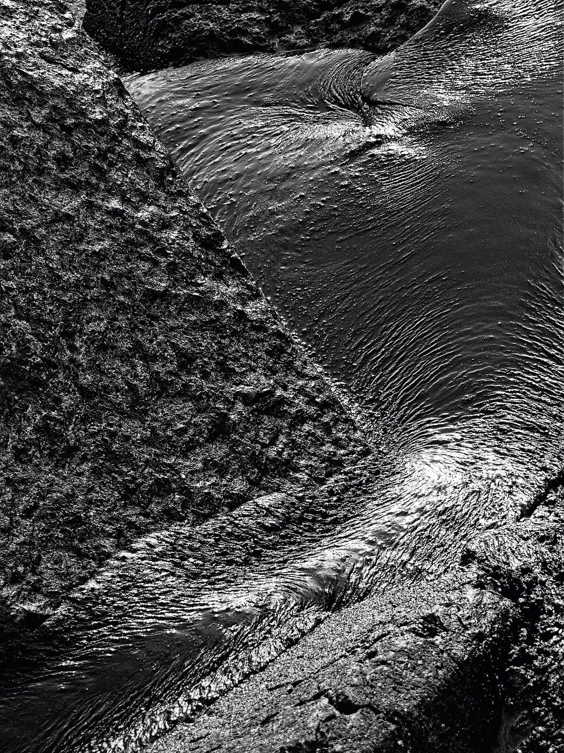 Liebe Verschmutzung - Vergiss mich nicht Detail 04- s72 - Druck BW dunkel - Fudji Flex - Limitierte Auflage (1-3)