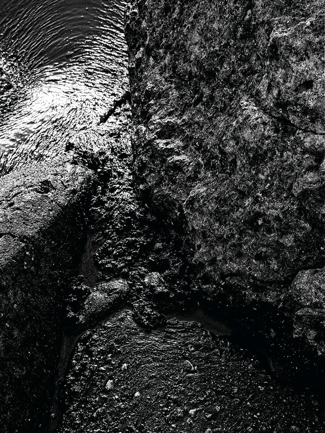 Liebe Verschmutzung – Vergiss mich nicht Detail 06 – s72 – Druck BW dunkel – Fudji Matt