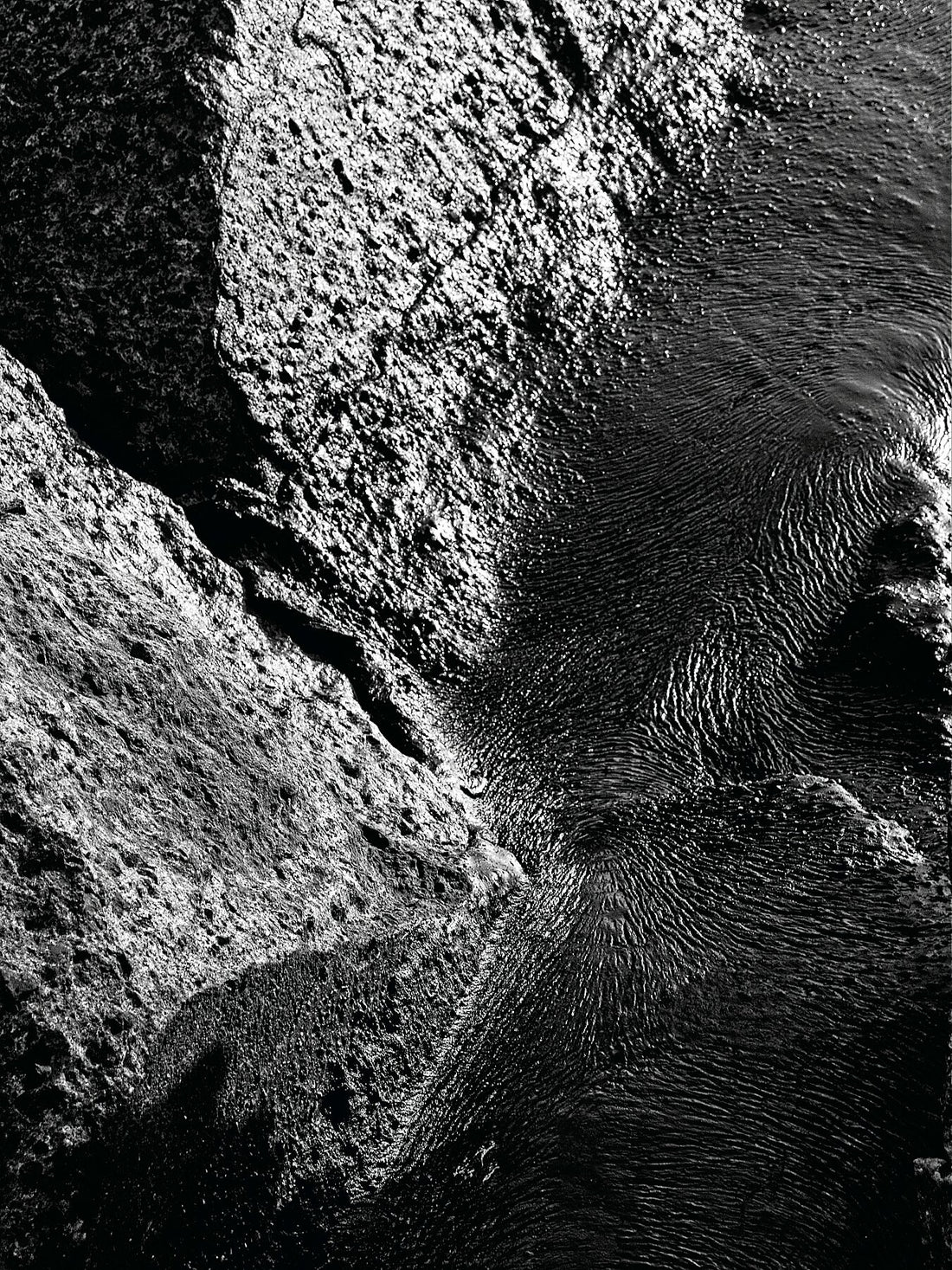 Liebe Verschmutzung - Vergiss mich nicht Detail 13 - s72 - Druck BW dunkel - Fudji Matt - Limitierte Auflage (1-3)