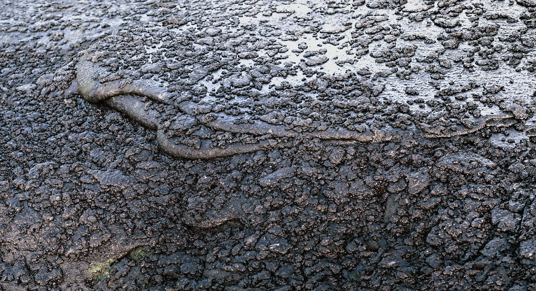 Liebe Verschmutzung – Meine schwarze Sirene (1-30) Farbe v