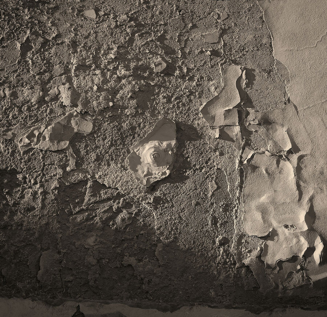 Nagel in der Prager Burgmauer - Farbe weich - C-Typ Fudji Matt - Limitierte Auflage (1-4)