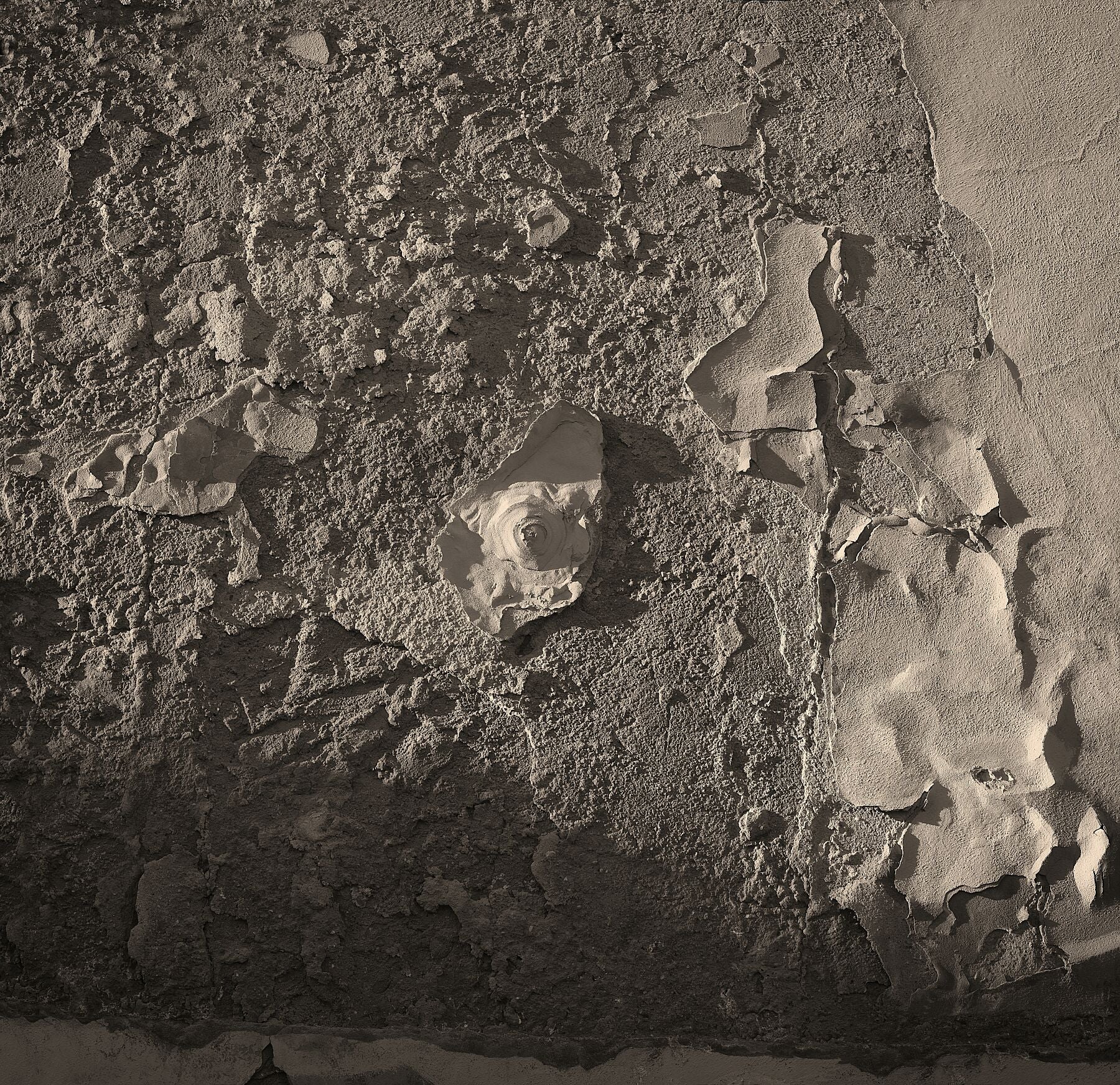 Nagel in der Prager Burgmauer - Farbe weich - C-Typ Fudji Matt - Limitierte Auflage (1-4)