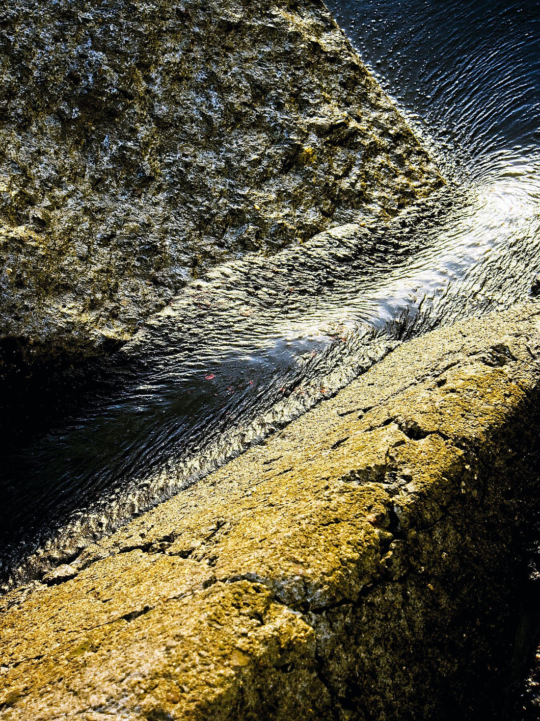 P8270537v2JPG – Helle Farbe – Fudji Flex 300