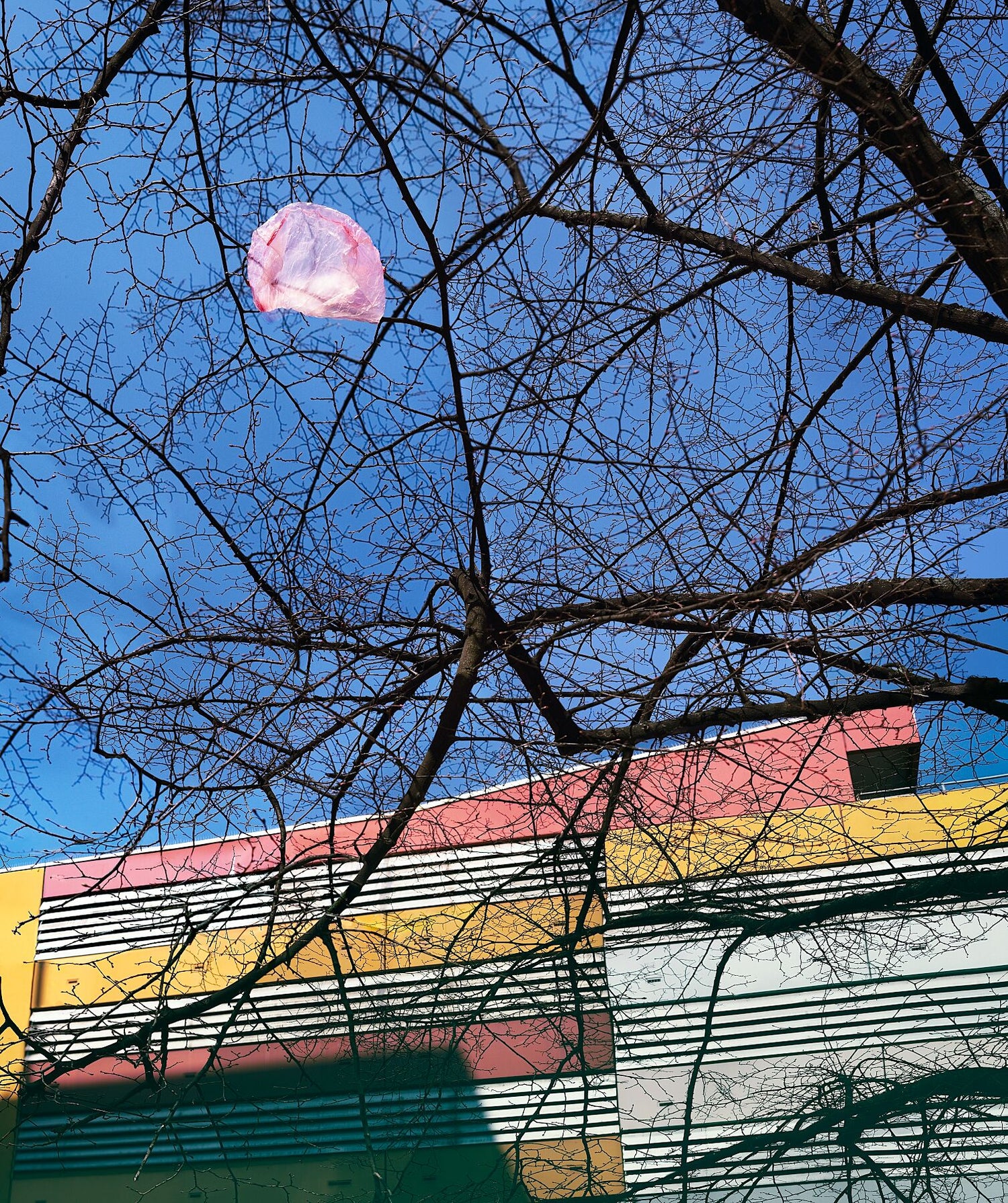 Pink moon - OBI Market building Berlin - color 2 - C-type Fudi Matt