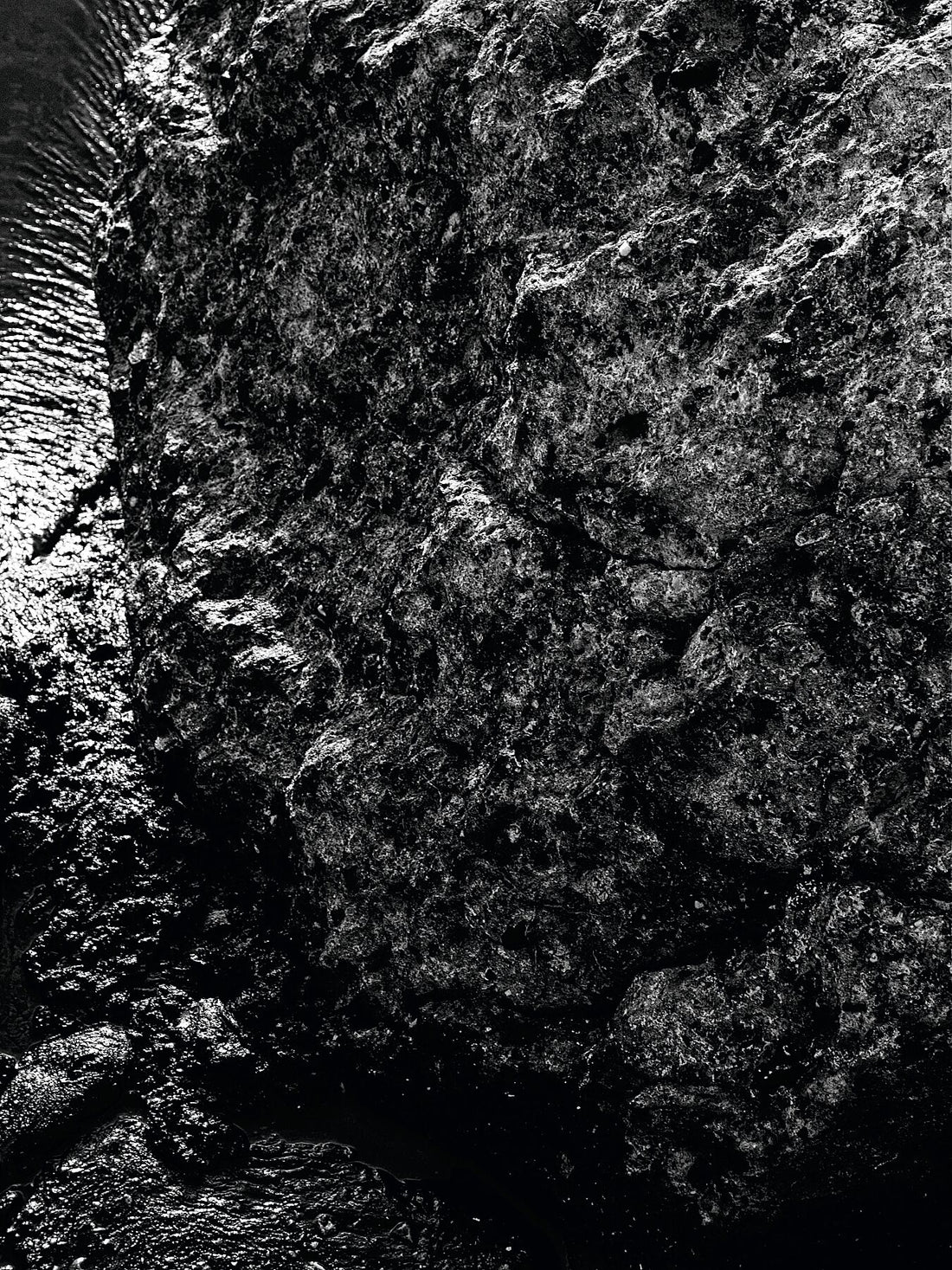 Liebe Verschmutzung - Vergiss mich nicht Detail 11 - s72 - Druck BW dunkel - Fudji Flex - Limitierte Auflage (1-3)