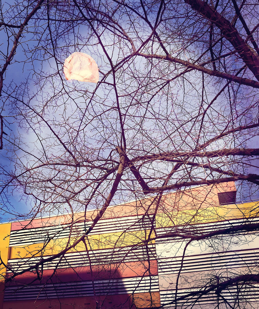 Rosa Mond - OBI Marktgebäude Hochzeit - Farbe 3 - C-Typ Fudi Matt