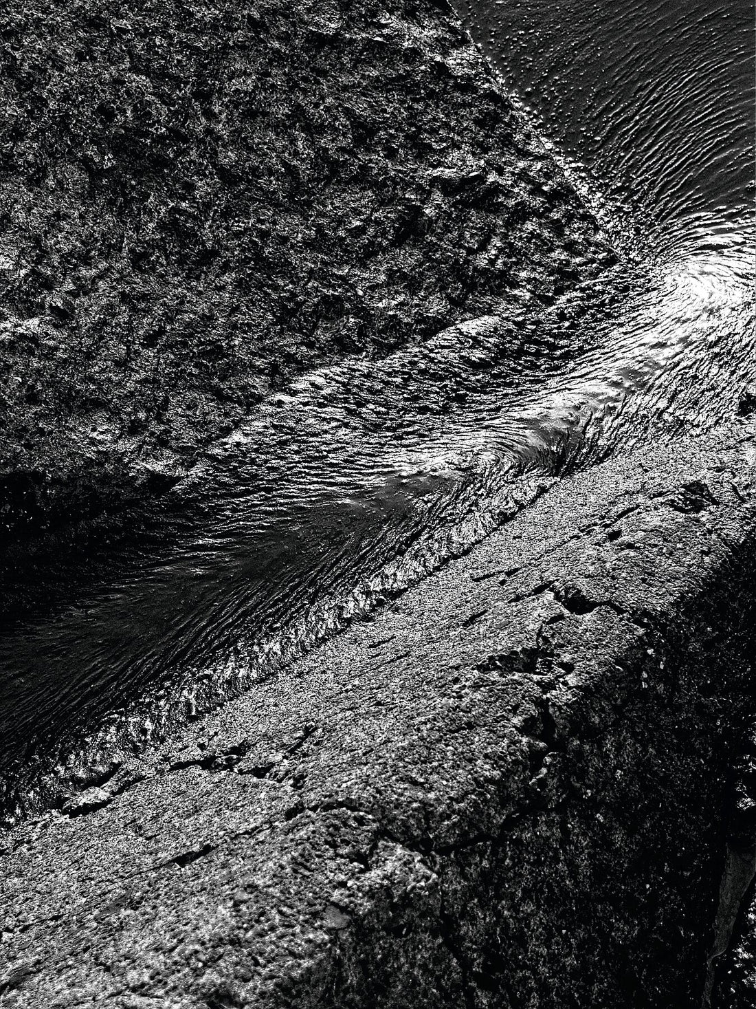 Liebe Verschmutzung - Vergiss mich nicht Detail 08- s72 - Druck BW dunkel - Fudji Flex - Limitierte Auflage (1-3)