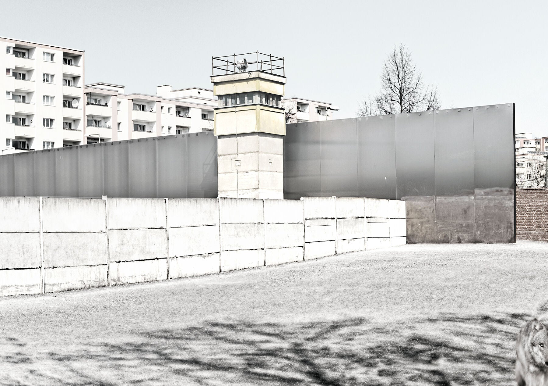Resurgence – Berlin Wall Memorial Grounds – Project OFFSIDE – Memory 3 - Kohlhoff und Kohlhoff architects  - Print matt Limited edition 1-30 - C-type Fudji Matt