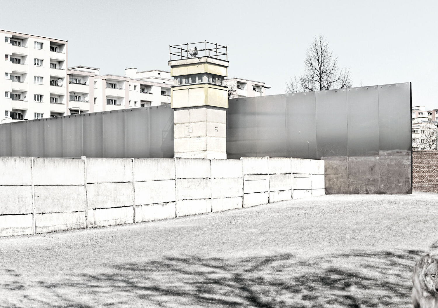Resurgence – Gelände der Gedenkstätte Berliner Mauer – Projekt OFFSIDE – Memory 3 – Kohlhoff und Kohlhoff Architekten – Druckmatt Limitierte Auflage 1-30 – C-Typ Fudji Matt