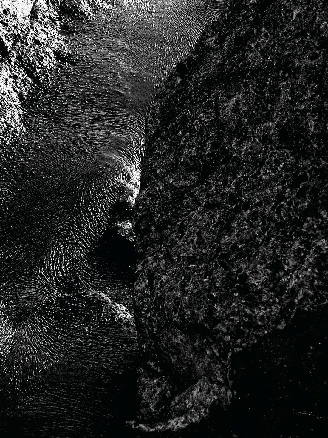 Liebe Verschmutzung - Vergiss mich nicht Detail 14 - s72 - Druck BW dunkel - Fudji Matt - Limitierte Auflage (1-3)