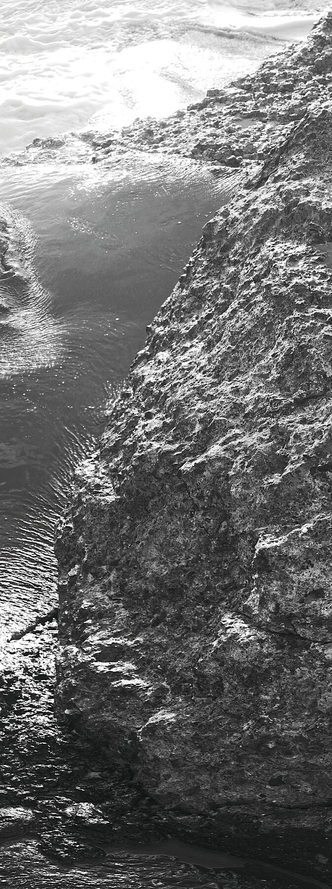 Liebe Umweltverschmutzung - Vergiss mich nicht 3 - Print BW 1 Feuerzeug - Fudji Flex - Limitierte Auflage (1-3)