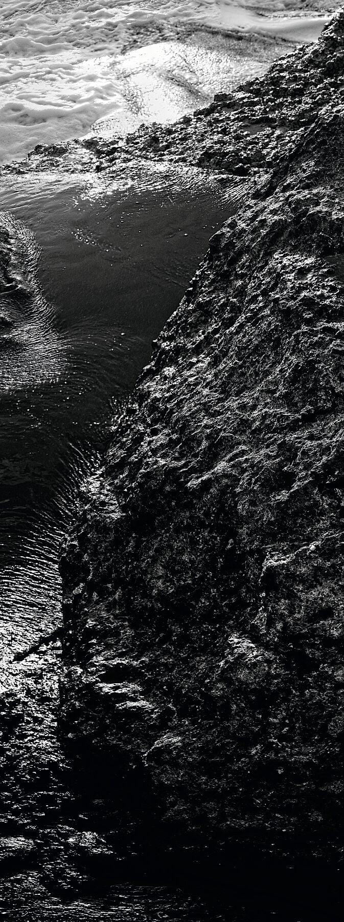 Liebe Verschmutzung - Vergiss mich nicht 3 - Print BW 2 Darker - Fudji Flex - Limitierte Auflage (1-3)