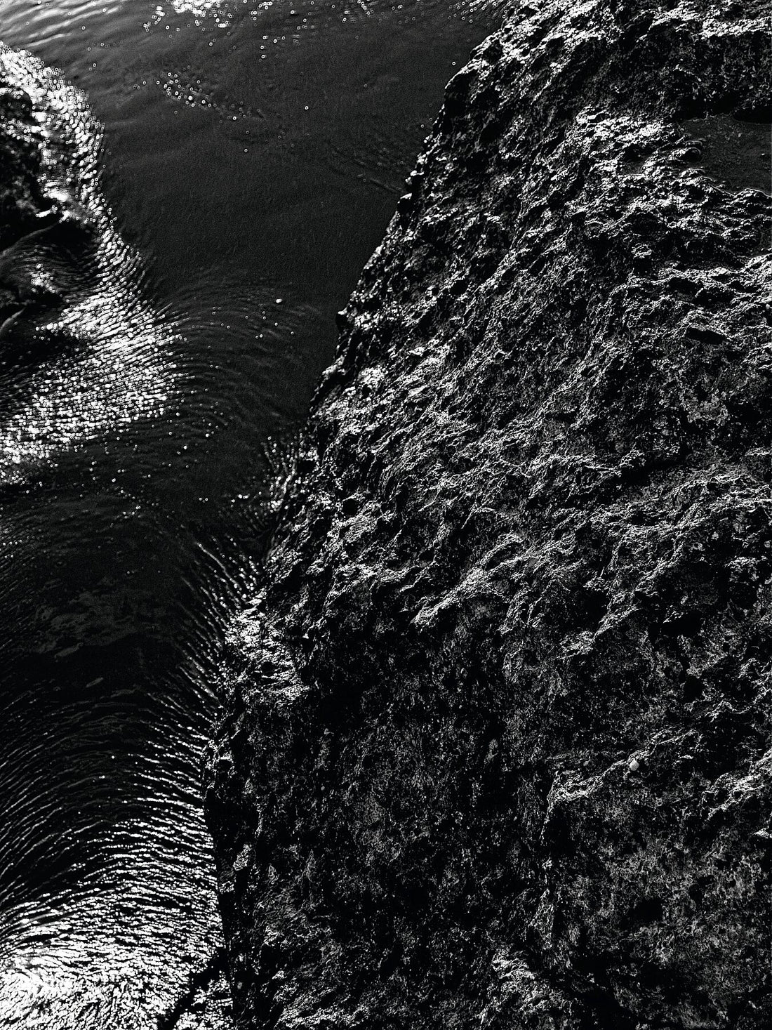 Liebe Verschmutzung - Vergiss mich nicht Detail 10 - s72 - Druck BW dunkel - Fudji Flex - Limitierte Auflage (1-3)