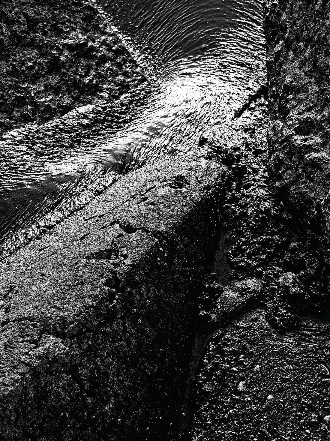 P8270534v3JPG C-Typ Kodak Metallic 300