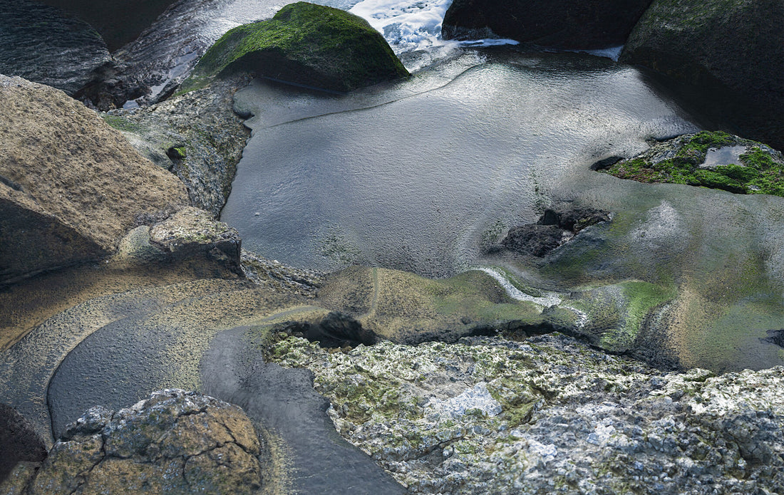 2- Dear pollution - The fantastic tryptique v2 - Limited edition (1-4)